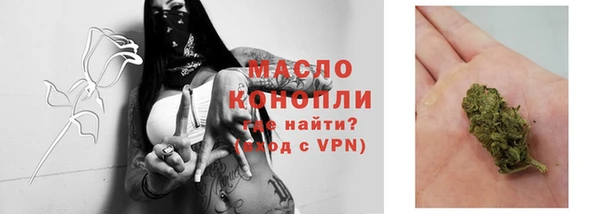 дмт Верея